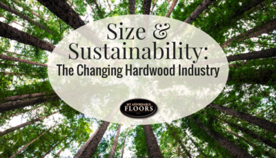 size & sustainability banner