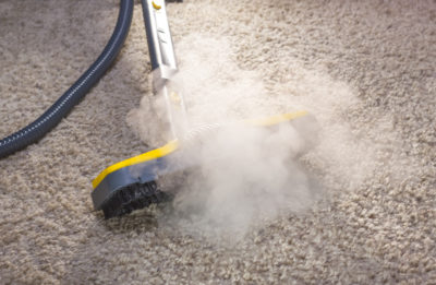 professional steam cleaning carpeting